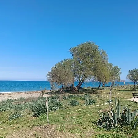 Relax *